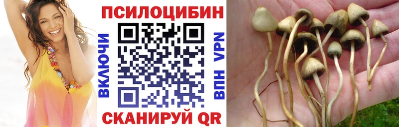 Купить где  Красноперекопск  Псилоцибиновые грибы прущие грибы 