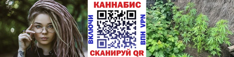 Купить закладки  Красноперекопск  Шишки марихуана тримм 